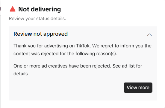 When TikTok Ads Get Stuck on “Not Delivering”: A Trouble Report