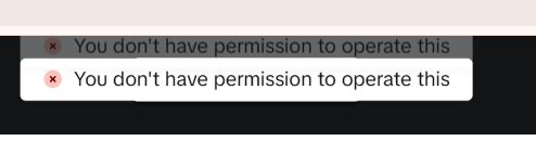 TikTok Ads Permission Error