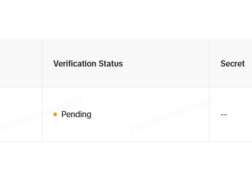 TikTok API review pending status